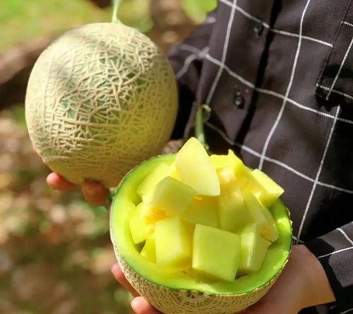 娱乐网吃瓜,揭秘明星幕后故事