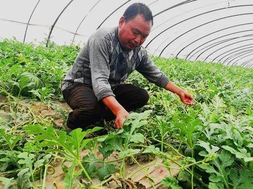 吃瓜娱乐郑州,揭秘网红美食与娱乐新风尚