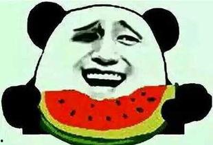 娱乐圈吃瓜群众是谁,揭秘明星背后的故事