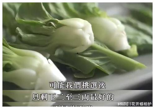 娱乐吃瓜酱的瓜是真的吗,真相还是谣言？