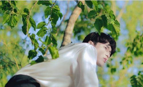 张艺兴娱乐吃瓜