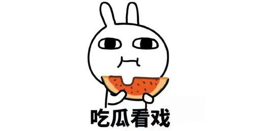 有吃瓜群吗,吃瓜群背后的社交现象